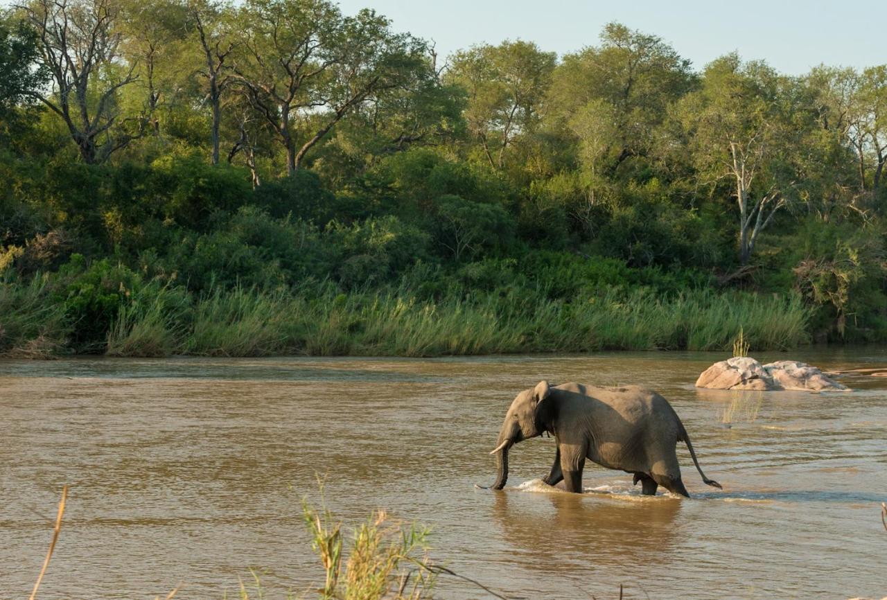 Kruger Shalati - Train On The Bridge & Garden Skukuza